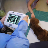 Équipement radioactif à rayons X de poche vétérinaire médical Système DR pour animaux Hôpital vétérinaire Machine à rayons X numérique portable