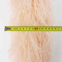Boa en plumes d'autruche multicolores teintes 1 2 3 4 5 8 10 plis, 2 mètres, châle, robe de soirée, vêtement féminin, décoration DIY, écharpe
