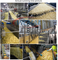 Línea de Producción de Papas Fritas Totalmente Automática, Llave en Mano, para Pequeñas y Medianas Fábricas, con Capacidad Personalizable