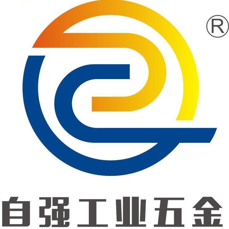 Shenzhen Xingtai Power Technology Co., Ltd. logo