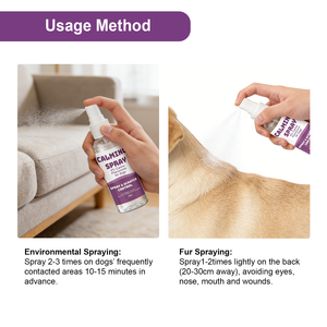 สเปรย์ปลอบประโลมสุนัขจากธรรมชาติ – ฟีโรโมนสุนัข 4% บรรเทาความวิตกกังวล (ส่งตรงจากโรงงาน) - Product Image 5