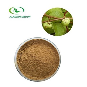 Poudre de fruits de Matatabi de haute qualité, vente chaude en usine GMP, pour animaux de compagnie - Product Image 2