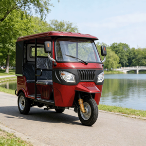 Taxi : Soulagez vos soucis – Moto-taxi avec <span class=keywords><strong>side</strong></span>-<span class=keywords><strong>car</strong></span>, carrosserie fermée, 6 passagers, 50-70 km/h - Product Image 4