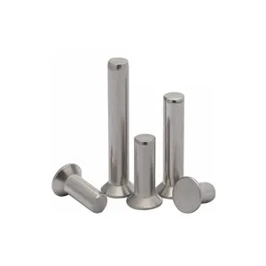 The High Quality CNC Machined Stainless Steel Flush Head Rivet