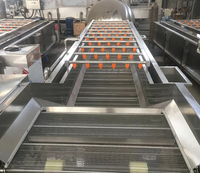 Industriële Vruchten Wasmachine En Plantaardige Bubbel Wasmachine Zoete Aardappel Druif Dadels Luchtbel Wasmachine