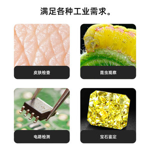 3-In-1 Digital Microscope 300W Pixel 1600X With Stand Type-C Connection For Circuit Board Testing And Hair Analysis - Product Image 5