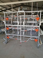 Cage automatique de couche de batterie à 4 niveaux de type H nouvelle conception d'équipement de ferme avicole efficace pour l'élevage de poulets et d'animaux