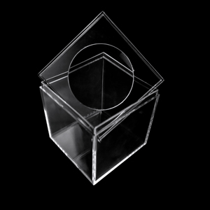 Boîtes de loupe de spécimen en acrylique résistant couvercle de loupe amovible boîte en acrylique boîtes d'affichage grossissantes pour insectes fossiles - Product Image 6
