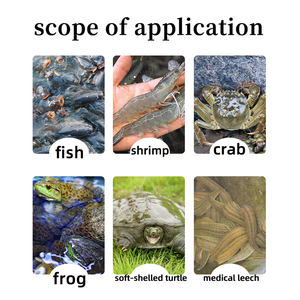 Bagre Tilapia Promotor del crecimiento Vitaminas de grado alimenticio Aminoácidos Aumenta el apetito Come más Crece más rápido Aumenta las ganancias agrícolas - Product Image 4