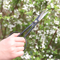 Schaar Snoeiers Kwekerij Plant Schaar Fruit Plukken Schaar Bonsai Training Cutter Fabrikant Handgereedschap Snoeier Zwart