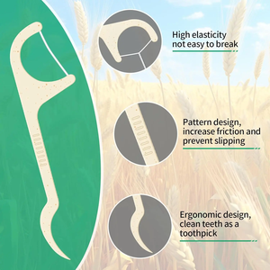 100% biyobozunur ağız bakımı Set organik mısır nişastası serin nane diş seçtikleri bambu kömür kaliteli kutulu doğal Pick - Product Image 4