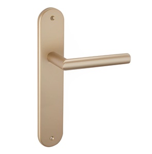 Manija de Puerta Moderna Estándar/Estrecha de Acero Inoxidable con Placa Ovalada para Puertas de Madera Interiores/Exteriores con Fácil Instalación - Product Image 6