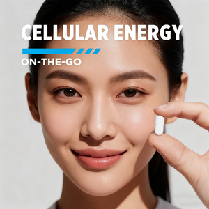 OEM/ODM <span class=keywords><strong>Creatina</strong></span> Adulto Ejercicio Apoyo Suplemento de salud para hombres Platino <span class=keywords><strong>Creatina</strong></span> Tabletas Cápsulas <span class=keywords><strong>Creatina</strong></span> en polvo - Product Image 3