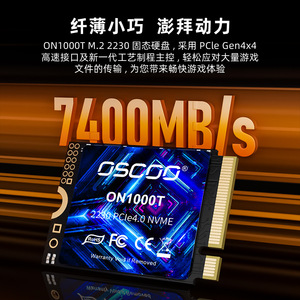 DSCDD OM1000T 2230 PCIe4.0 NVMe 1TB SSD For Gaming Laptop Expansion - Product Image 4