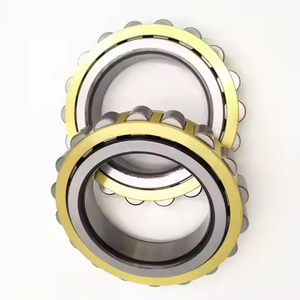 SKFNCF2213 Roulement à rouleaux SL182213 SL 182213 Roulement - Product Image 3