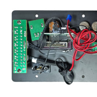 Amplificateur audio numérique multifonctionnel Ktv avec lecture de carte et réverbération
