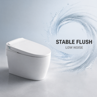 WC intelligent CE avec bidet intégré, chauffage de l'eau, pression réglable, sécheur à air chaud, siège chauffant et couvercle automatique