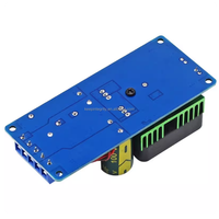 Module amplificateur numérique IRS2092S, carte amplificateur mono 250W 500W, amplificateur de classe D haute puissance HIFI