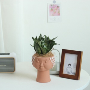 Thiết Kế Mới Màu Đen Và Đỏ Trang Trí Vườn Nhà Được Sử Dụng Với Hoa/Cây Xanh - Product Image 3