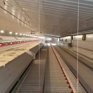 Sistema di Alimentazione Automatico a Catena per Polli, Galline <span class=keywords><strong>e</strong></span> Pollame da Allevamento - Product Image 6