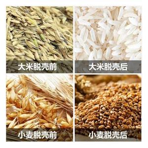 เครื่องปอกเปลือกข้าวโอ๊ตอเนกประสงค์,เครื่องปอกเปลือกข้าวบาร์เลย์เครื่องปอกเปลือกข้าวโพดและข้าวสาลี - Product Image 6