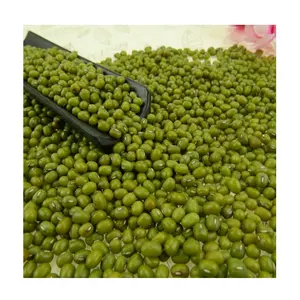 Inner Mongolia Origin Mung Bean Sprouting Grade Green Bean for Vietnam Market