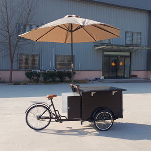 Precio barato, bicicleta de helado <span class=keywords><strong>usada</strong></span>, bicicleta eléctrica, bicicleta de helado suave, carrito de helado eléctrico con nevera - Product Image 1