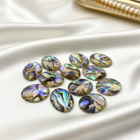 Coquille d'ormeau en forme d'œuf d'excellente qualité et d'apparence supérieure, idéale pour la fabrication de bijoux