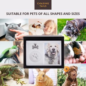 JQ <span class=keywords><strong>Biodegradable</strong></span> Urnas Memorial Collar Foto Madera Diseño Mascota <span class=keywords><strong>Urna</strong></span> Urnas Para Cenizas Mascotas - Product Image 6
