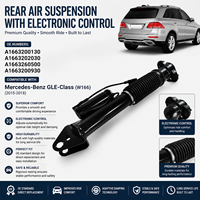 Ammortizzatore Elite, Gruppo Sospensione per Mercedes Benz OE A1663200130 A1663202030 A1663260500 A1663200930