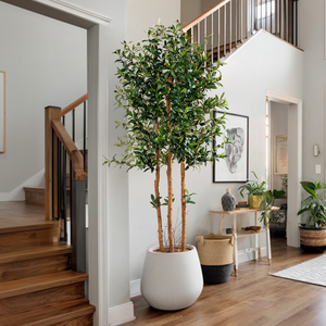 Oliviers Artificiels d'Intérieur, Feuilles de Soie, Tronc Véritable, Plantes d'Olive Artificielles pour Salon Chambre <span class=keywords><strong>Escalier</strong></span> Décoration d'Angle - Product Image 5