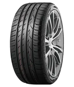 Fabricant de pneus en chine, pneus de voiture 295/50R15 haute Performance