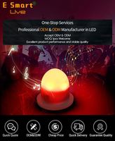 Lampe LED musicale sans fil rechargeable, boule lumineuse portable, haut-parleur lumineux, logo personnalisé pour bar