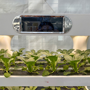 Machine de plantation de légumes les systèmes de culture de serre automatisés intelligents planteurs d'herbes d'intérieur - Product Image 5