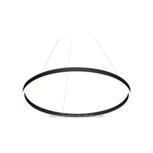 Colección de moda, decoración del hogar, anillo de luz LED, luz colgante nórdica, 60cm de diámetro, 24 pulgadas, anillo blanco arriba-abajo, luminaria lineal LED - Product Image 5