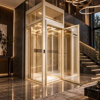 Ascenseur intérieur moderne avec éclairage LED lumineux, rail de guidage robuste et arrêt d'urgence sécurisé pour projets de résidences privées