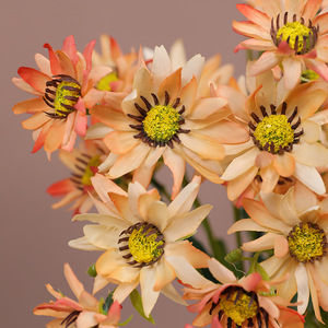 Bouquet de marguerites artificielles Ruilisi en soie pour décorations de mariage – Orange, rose, blanc, violet clair, bleu, violet pâle - Product Image 4