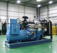 Générateur diesel à châssis ouvert UKPerkins 300 kW 400 V 50/60 Hz à prix d'usine à vendre
