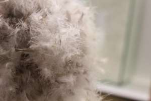 <span class=keywords><strong>Oreiller</strong></span> en plumes de canard blanc en gros Plumes <span class=keywords><strong>d</strong></span>'<span class=keywords><strong>oie</strong></span> remplies produit confortable lavé - Product Image 6