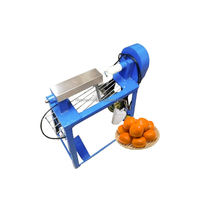2026 Nieuwe Ananas Schiller Mango Elektrische Persimmon Appel Ontpitter Dragon Ananas Schilmachine Fruit Mandarijn Schiller