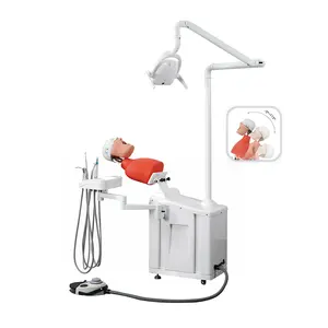 Oral Simulation System for College Training with Dental Phantom