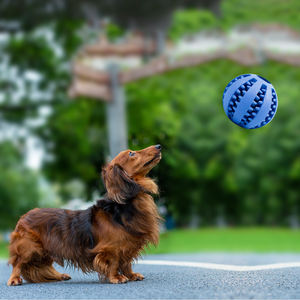Diş temizleme kauçuk toksik olmayan yavaş yeme köpek yavrusu çiğneme tedavi topu oyuncak - Product Image 4