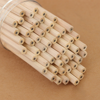 Crayon de voyage biodégradable en bois naturel noir HB 2B, format mini, pour hôtel et bureau – Offre Spéciale