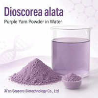 Poudre d'igname violette (Ube) de qualité alimentaire en vrac
