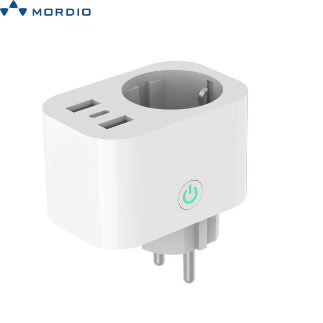Smart Life EU Zigbee/WiFi Smart Plug 16A Power Google Assistant Alexa Tuya Smart Socket with 2 USB Ports