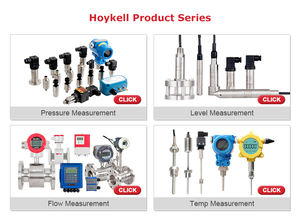 Holykell Oem Aanpasbare Hoge Gevoeligheid Vortex Street <span class=keywords><strong>Flow</strong></span> <span class=keywords><strong>Meter</strong></span> Ketel Verwarming Gas <span class=keywords><strong>Flow</strong></span> <span class=keywords><strong>Meter</strong></span> - Product Image 6