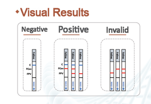 Kit de Prueba Rápida de Ácido Nucleico MTBC RPA LFA para Detección de Tuberculosis con Sensibilidad PCR y Resultado en 10 Minutos - Product Image 3