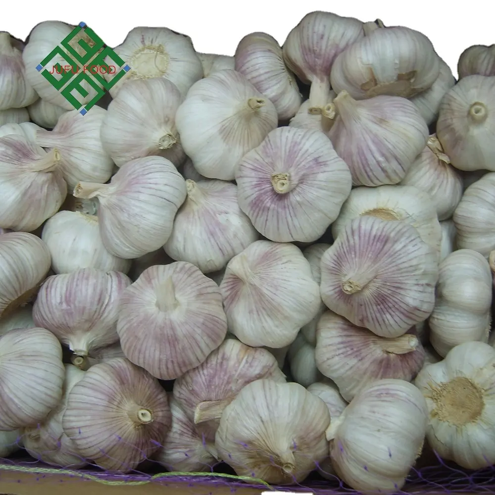 2023 Top Ranking Chinese pure white garlic factory wholesale price