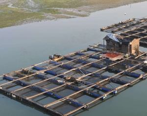 40 lưới 22 mét vuông nuôi cá lưới trắng xanh HDPE + UV ổn định cá thủy sản chiên Giun đất nuôi tôm bền - Product Image 4