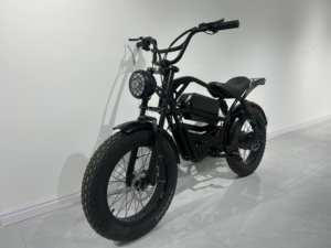 Paige Scooter Bike <span class=keywords><strong>Cube</strong></span> Kit de moteur de cycle électrique Nouveau modèle Chine National Standard Halei Bicyclette électrique - Product Image 4